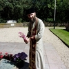 ჰოლანდია. 2014 წელი